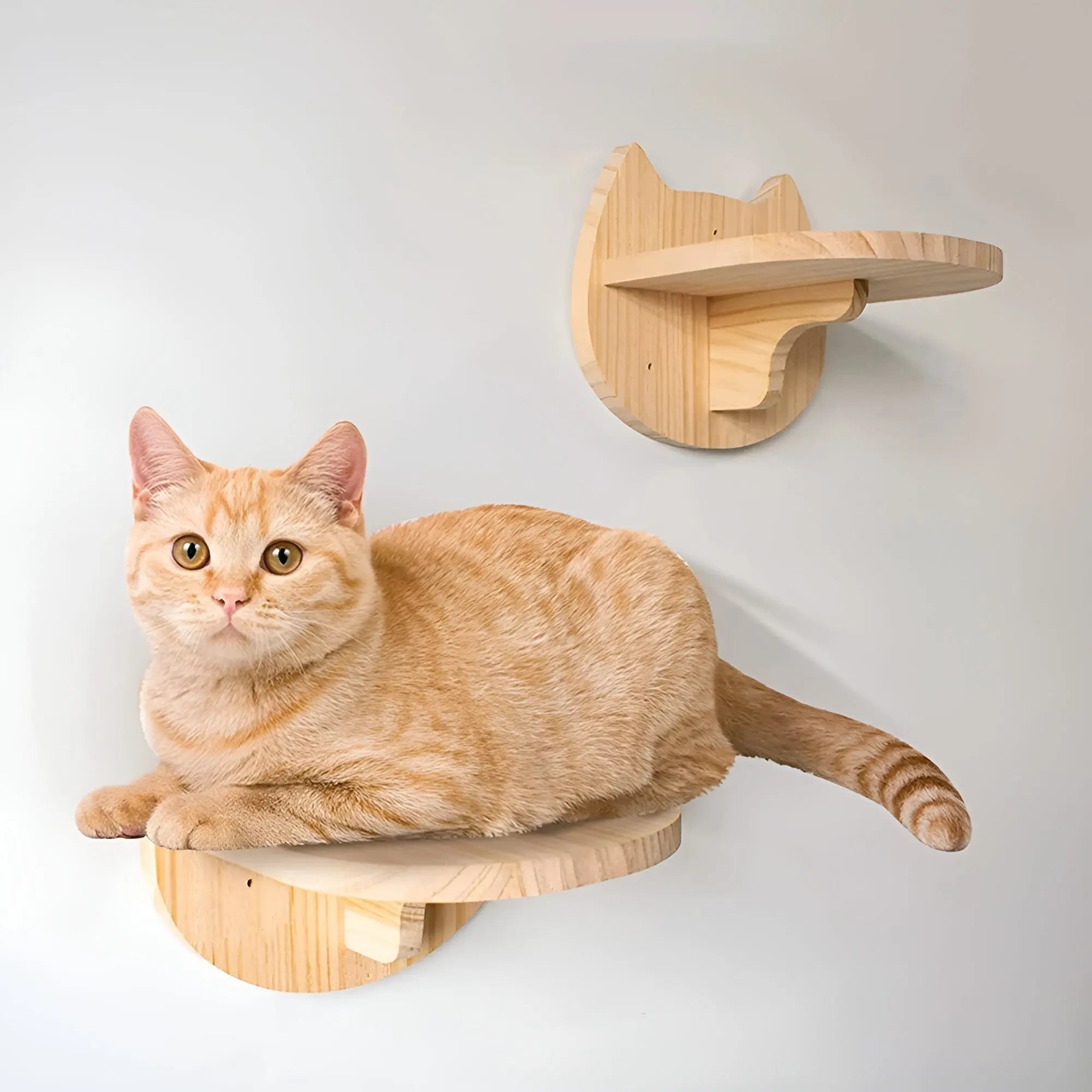 PurrMount Board - Wandkattenklimplank met Krabpaal - Velari - VLP163