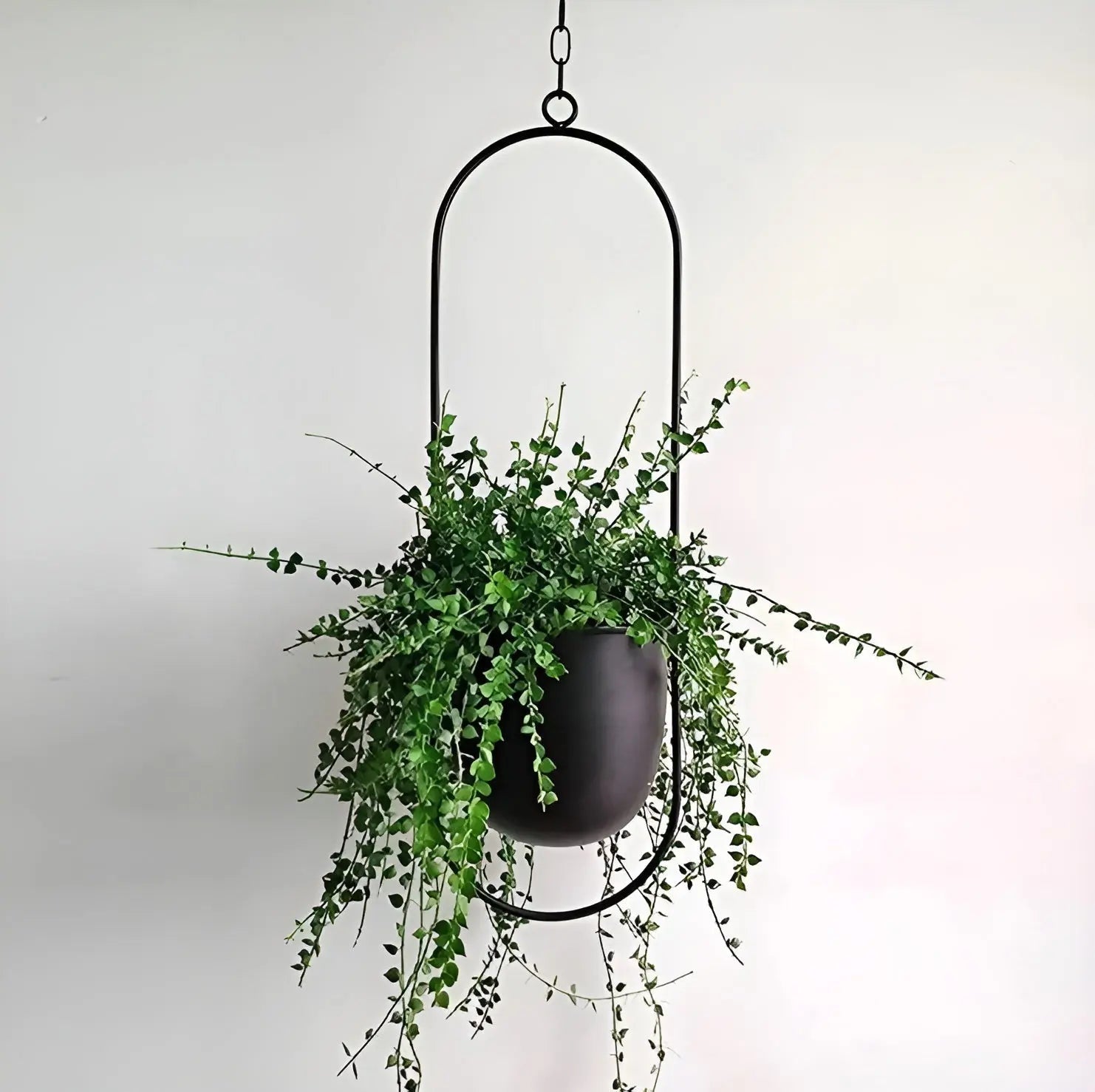 BloomVine Plant Hanger - Eleganter Metall Hängeblumentopfhalter Elegare