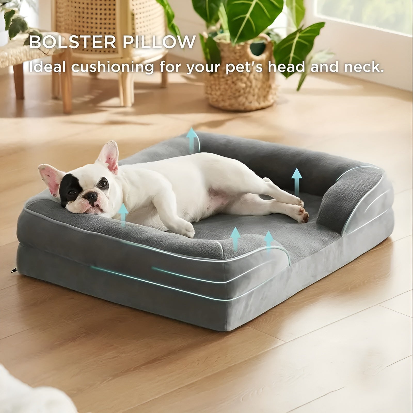 LuxePaws Bett - Orthopädisches Komfort Hundesofa Bett Elegare