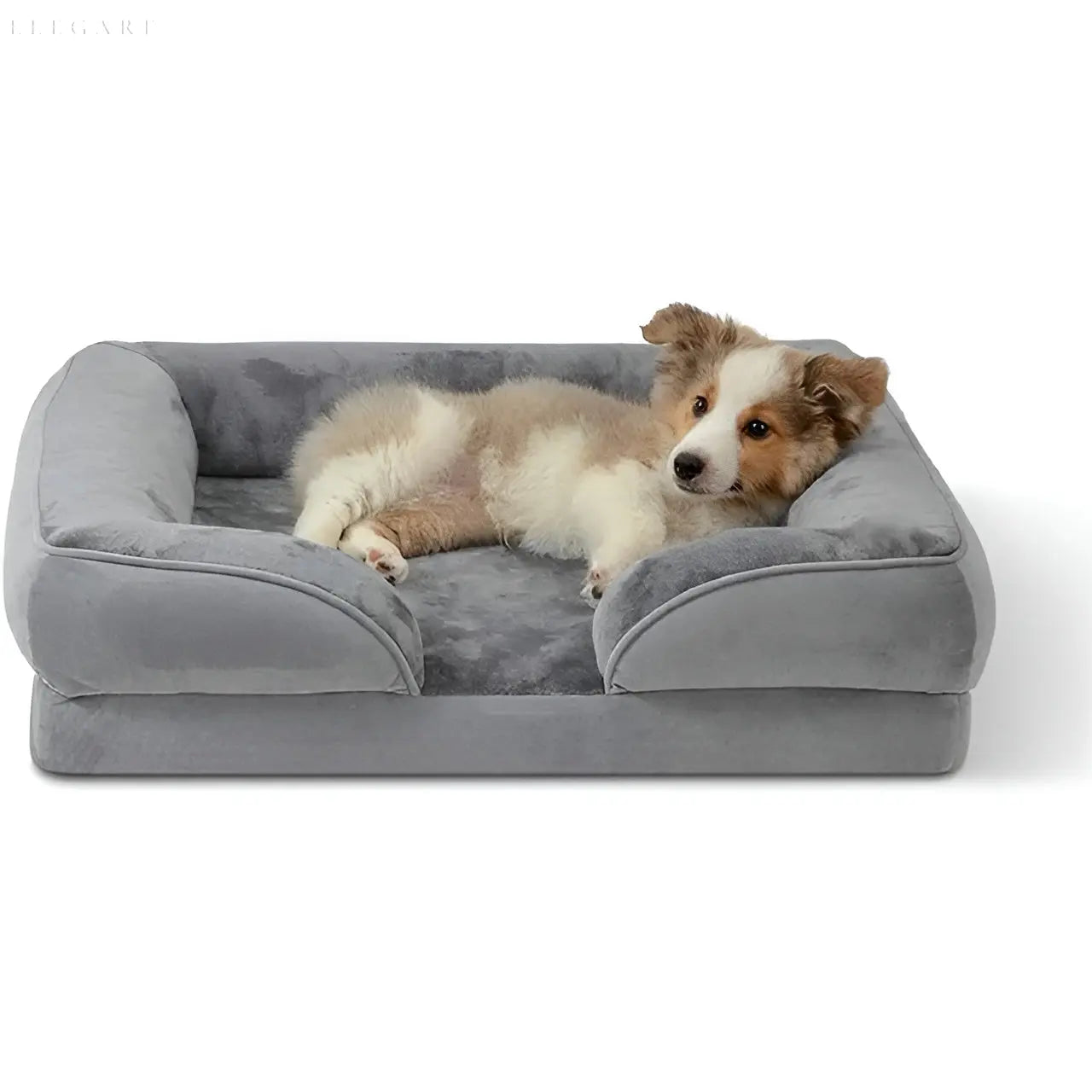 LuxePaws Bett - Orthopädisches Komfort Hundesofa Bett Elegare