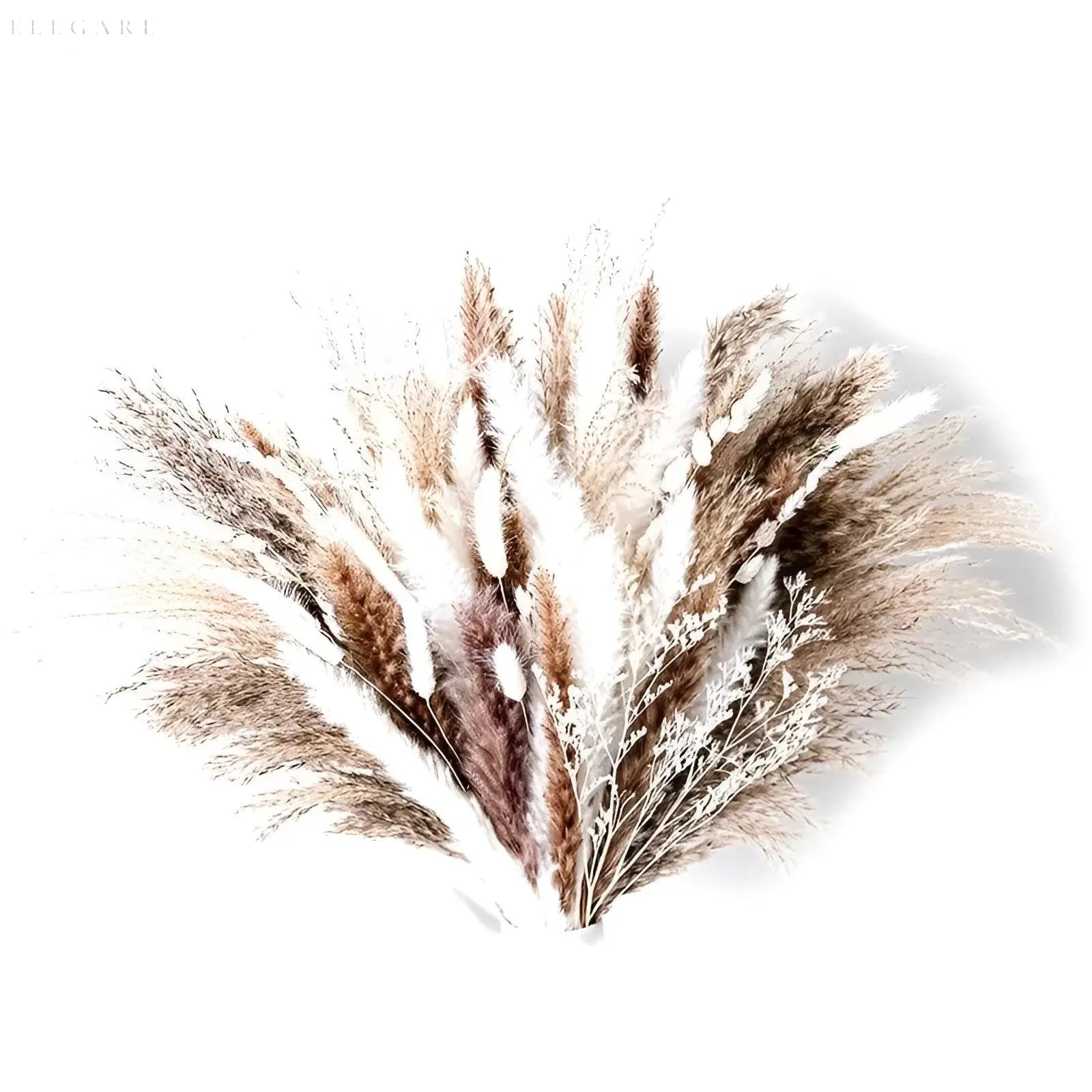 RusticPampas Decor - Natürliches flauschiges Pampasgras Boho Home Floral Arrangement Elegare