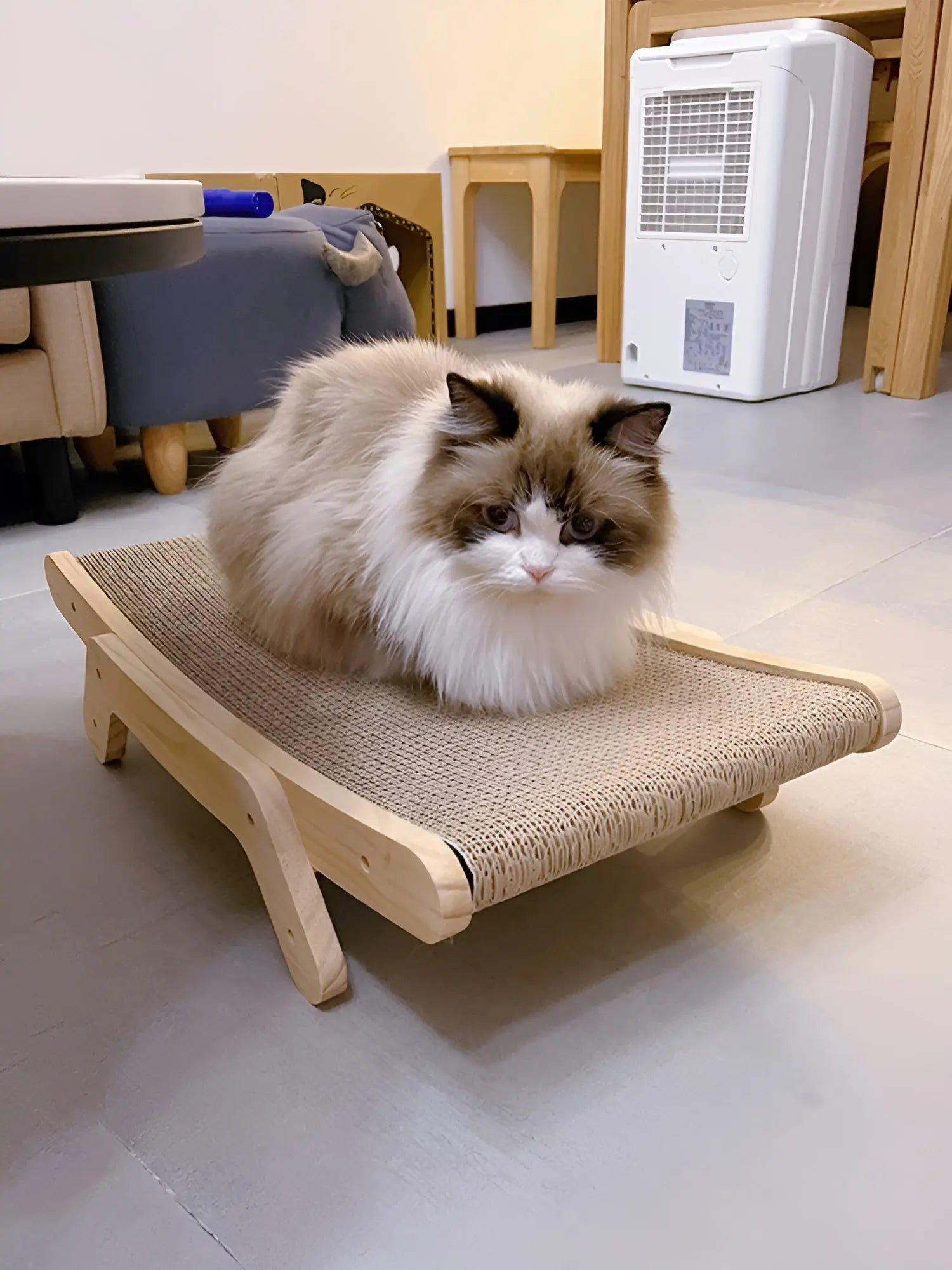 PurrPlay Board - Multifunctionele Verwijderbare Houten KattenKrabPlank - Velari - VLP164