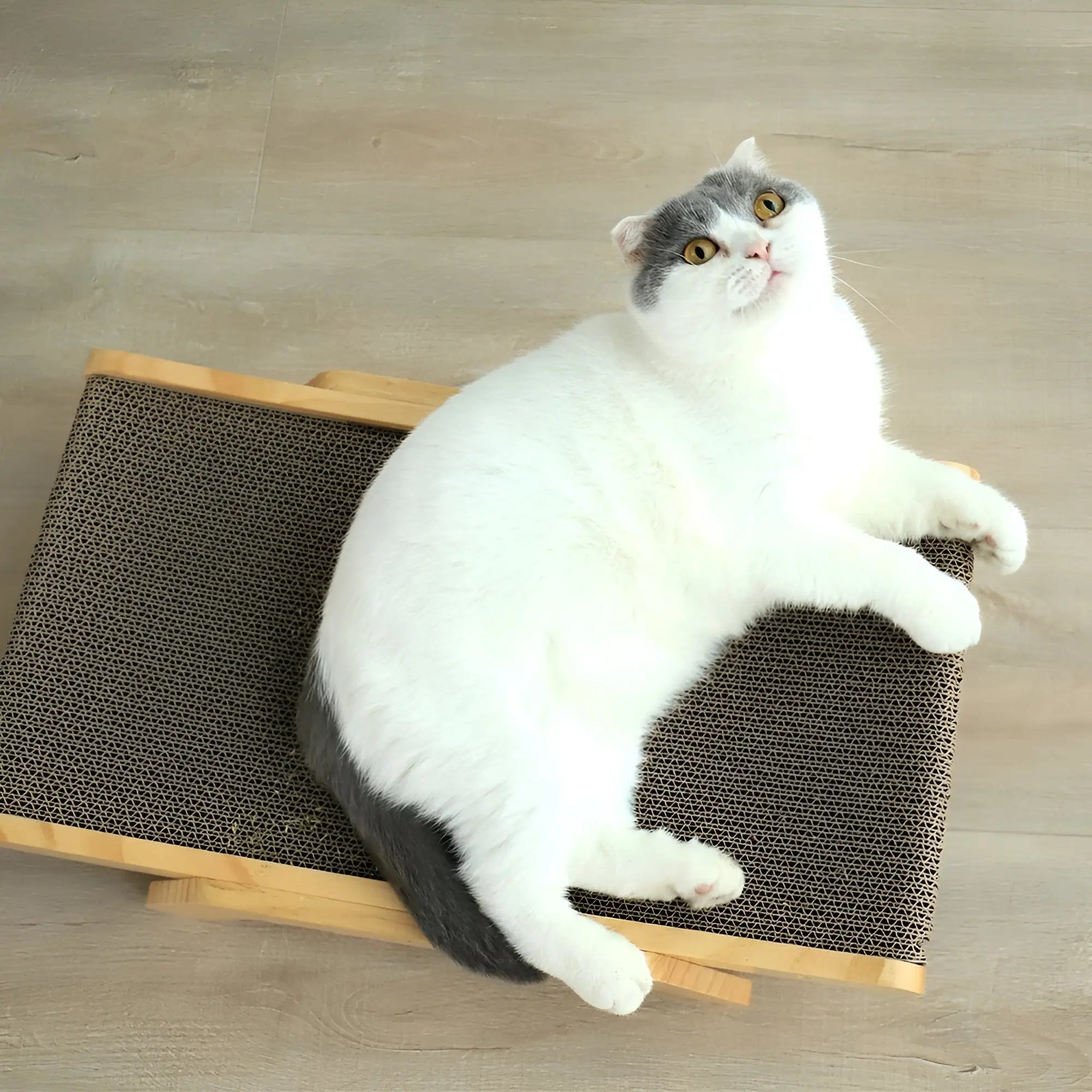 PurrPlay Board - Multifunctionele Verwijderbare Houten KattenKrabPlank - Velari - VLP164